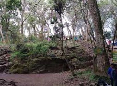 Kodaikanal Honeymoon Packages from Pondicherry