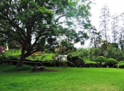 Kodaikanal Package From Mumbai