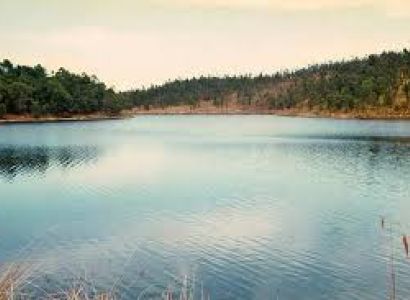 Kodaikanal Honeymoon Packages from Coimbatore