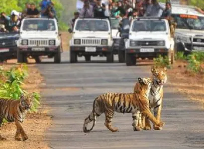 Delhi - Corbett National Park Weekend Tour Package