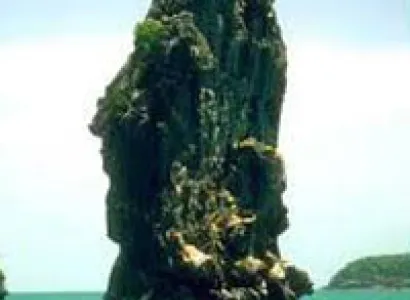 Andaman Sightseeing Tour