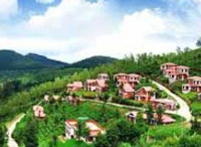 Ooty Kumarakom Tour (Honeymoon Special)